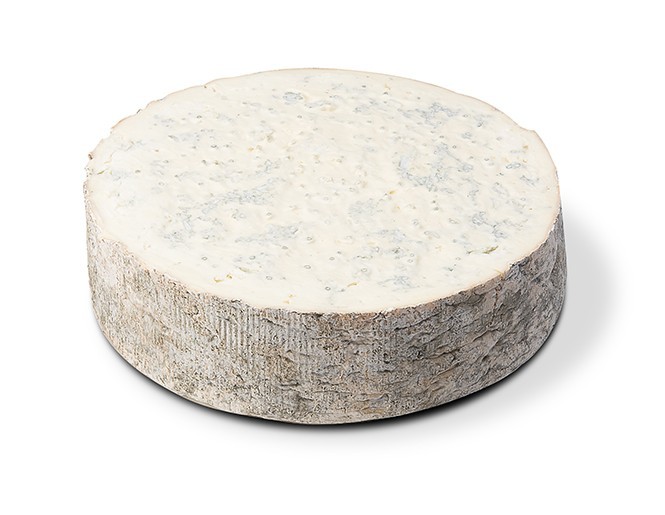 Gorgonzola DOP Bio