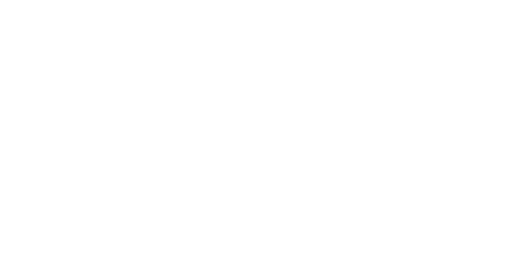 The repository, the legacy, the heritage